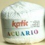 Katia Acuario 01