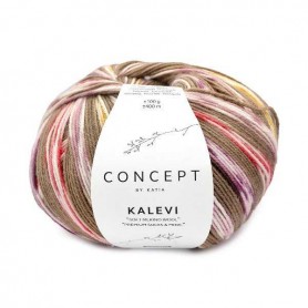 Katia Kalevi Socks 201