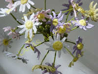 Margarita de ganchillo